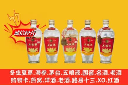 姑苏区回收老五粮液