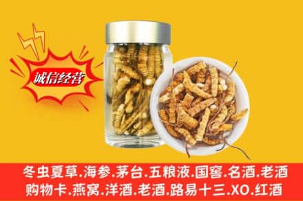 姑苏区回收散虫草