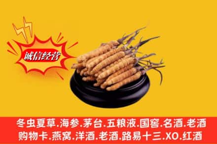 姑苏区求购回收虫草多少钱每克